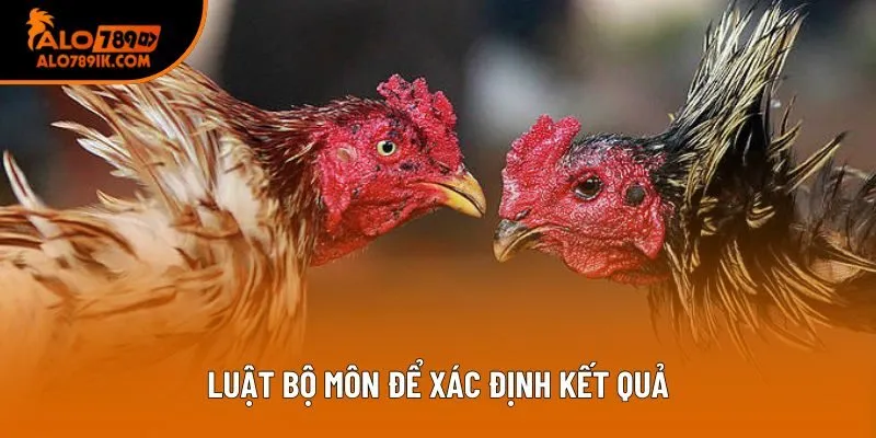 Luật bộ môn để xác định kết quả Luật bộ môn để xác định kết quả