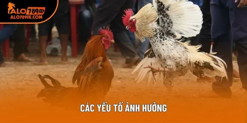 Các yếu tố ảnh hưởng Các yếu tố ảnh hưởng