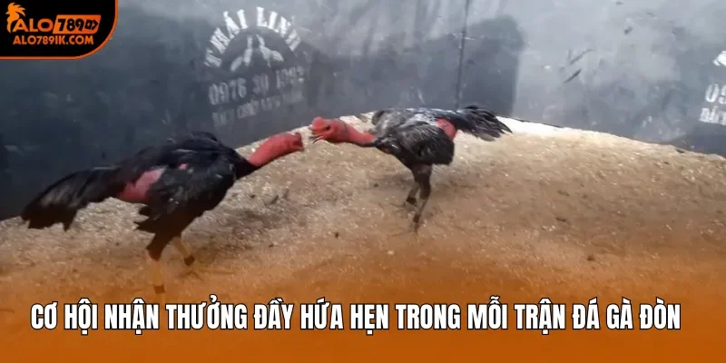 Cơ hội nhận thưởng đầy hứa hẹn trong mỗi trận đá gà đòn