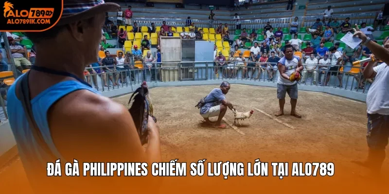 Đá gà Philippines chiếm số lượng lớn tại Alo789