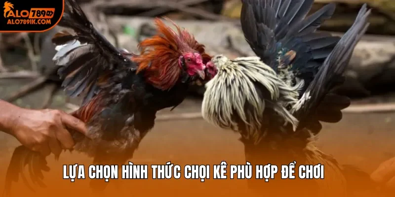 Lựa chọn hình thức chọi kê phù hợp để chơi