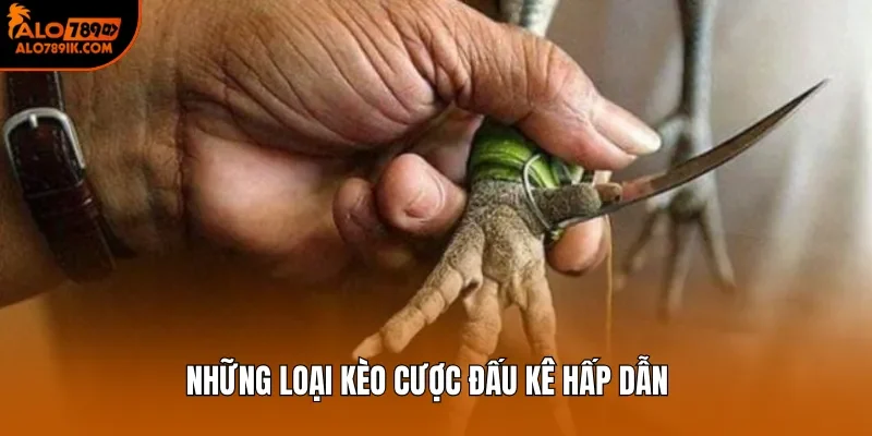 Những loại kèo cược đấu kê hấp dẫn