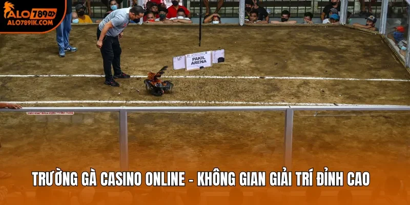 Trường Gà Casino
